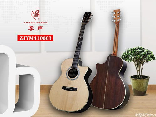 掌聲音樂器 以品牌戰(zhàn)略驅(qū)動(dòng)，布局千萬級(jí)市場(chǎng)新藍(lán)圖